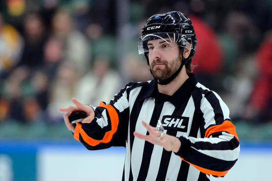 Domare Mikael Sjöqvist
