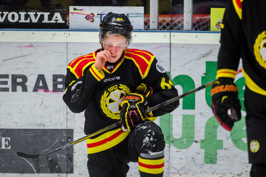 Brynäs Jonathan Pudas deppar