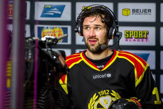 Brynäs Johan Alcén