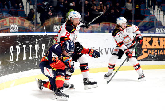 Bläddra bland fler bilder av Ishockey, SHL, Djurgården - Malmö Redhawks