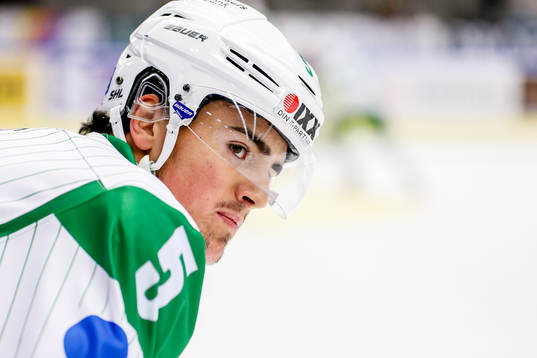 Rögles Alen Bibic