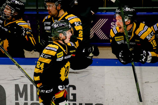 Skellefteås Andreas Wingerli jublar