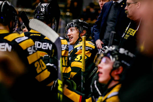 Skellefteås John Norman jublar
