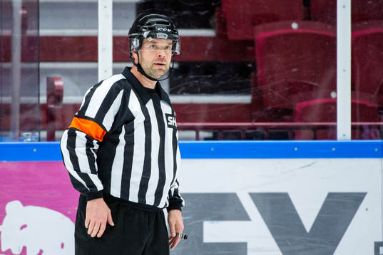 Domare Patrik Sjöberg