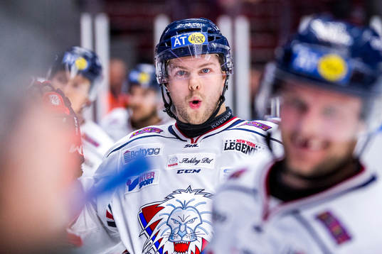 Linköpings Andrew Gordon jublar med bänken