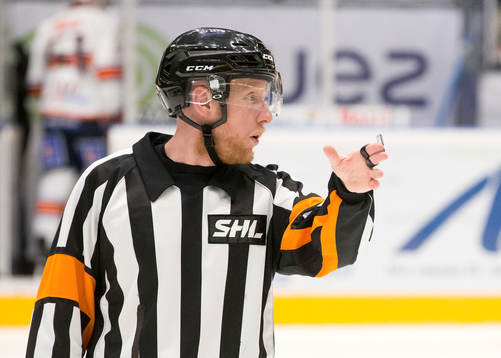 Domare Mikael Holm