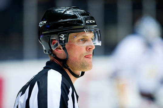 Domaren Mikael Nord