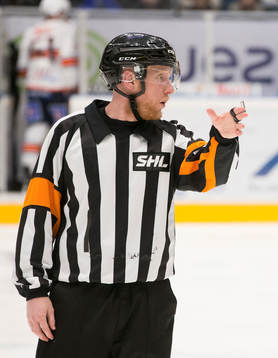 Domare Mikael Holm