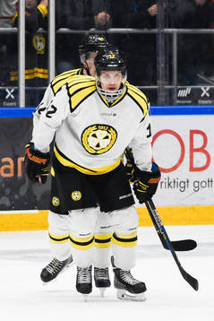 Brynäs Petr Vrana jublar med lagkamraterna