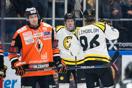 Brynäs Petr Vrana har gjort 1-0 och jublar