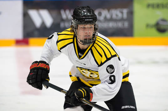 Brynäs Jesper Boqvist