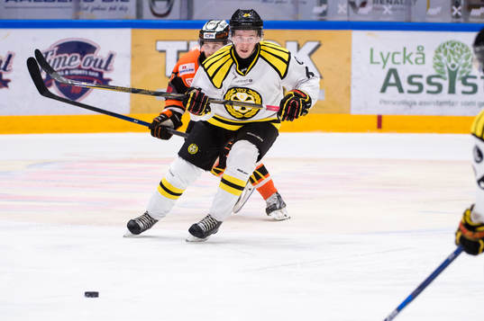 Brynäs Jonathan Pudas