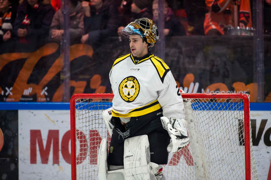 Brynäs målvakt Bernhard Starkbaum