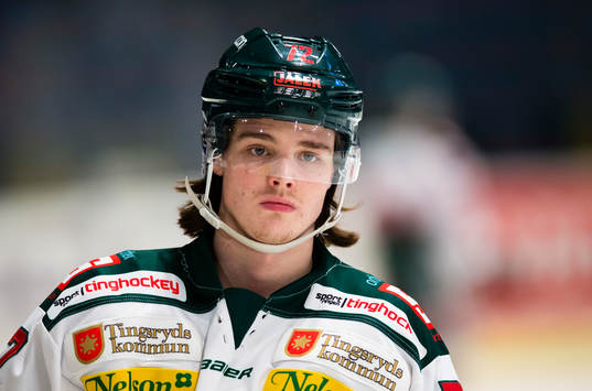Tingsryds Hannes Johansson