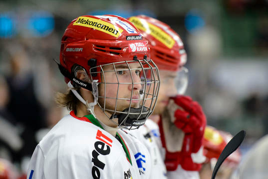 Modos Tim Wahlgren
