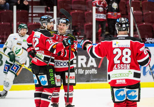 Malmö Redhawks Andreas Thuresson jublar åt 2-2 med