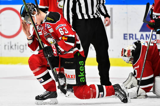 Malmö Redhawks Fredrik Händemark och målvakt Jonas
