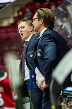 Malmö Redhawks assisterande tränare Jesper Mattsson och