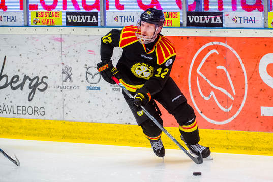 Brynäs Petr Vrana