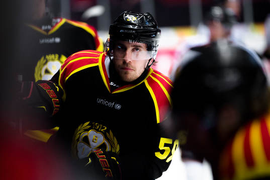 Brynäs Sebastian Enterfeldt