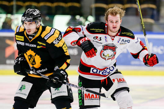 Bläddra bland fler bilder av Ishockey, SHL, Skellefteå - Malmö Redhawks
