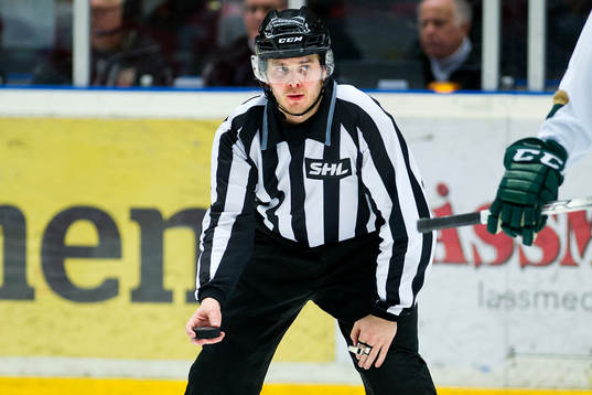 Domaren Daniel Persson