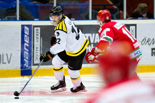 Brynäs Petr Vrana och Modos Bill Thomas