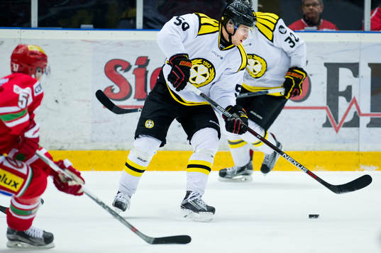 Brynäs Sebastian Enterfeldt