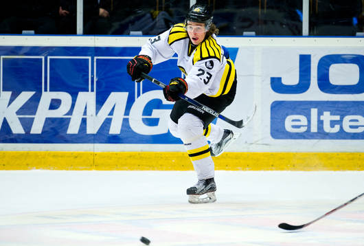 Brynäs Lucas Carlsson