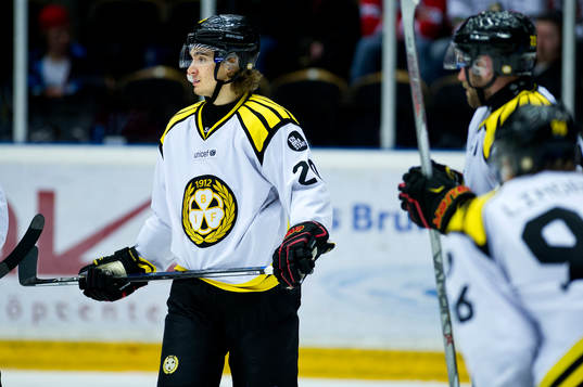 Brynäs Adam Brodecki