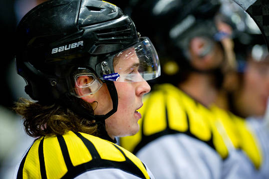 Brynäs Lucas Carlsson