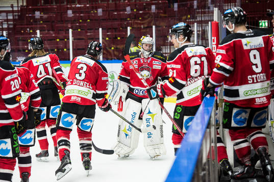 Malmö Redhawks målvakt Jonas Gunnarsson deppar med