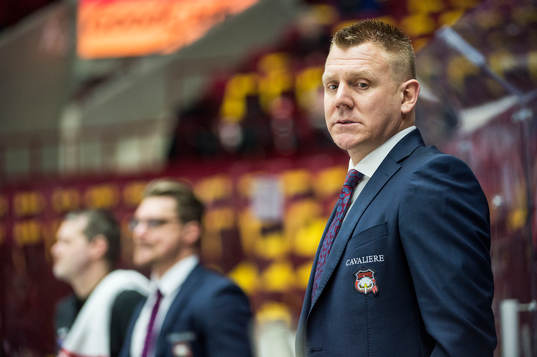 Malmö Redhawks assisterande tränare Jesper Mattsson
