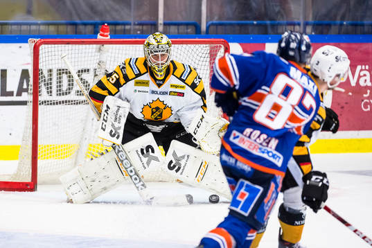 Skellefteås målvakt Markus Svensson fokuserar på pucken