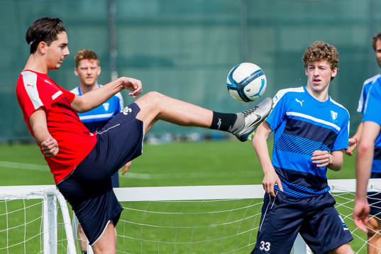 Malmö FFs målvakt Marko Johansson och Teddy Bergqvist