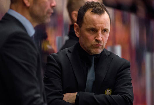 Brynäs tränare Thomas Berglund