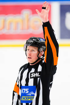 Domaren Mikael Holm