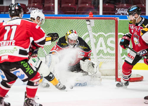 Skellefteås Adam Pettersson mot Malmö Redhawks målvakt