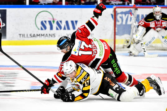Malmö Redhawks Adam Burish och Skellefteås Pär Lindholm