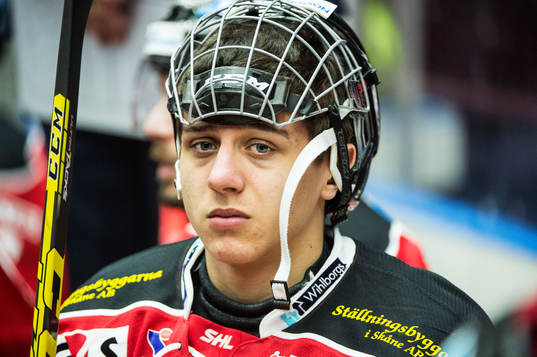 Malmö Redhawks Martin Fehervary