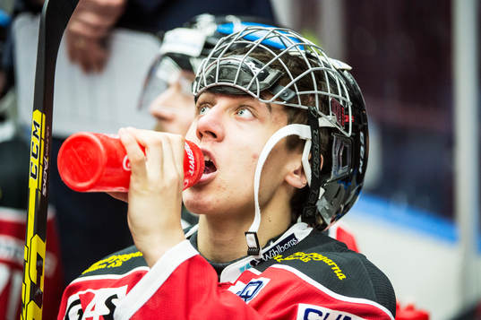 Malmö Redhawks Martin Fehervary
