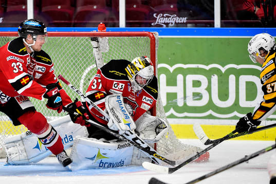 Malmö Redhawks målvakt Jonas Gunnarsson