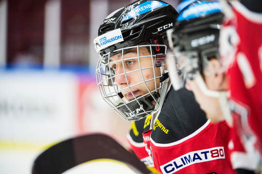 Malmö Redhawks Martin Fehervary