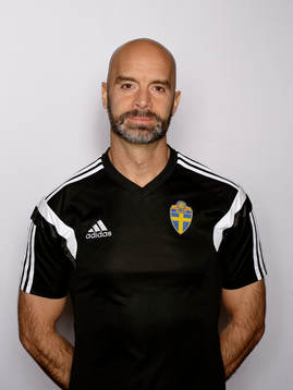 Domare Stefan Johannesson