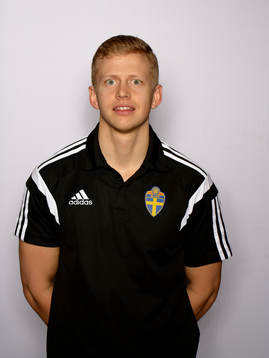 Domare Niklas Nyberg