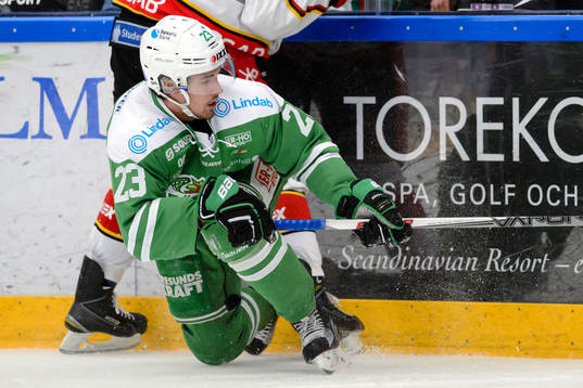 Rögles Daniel Sylwander
