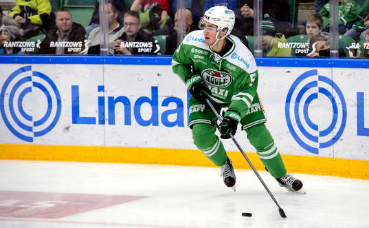 Rögles Alen Bibic