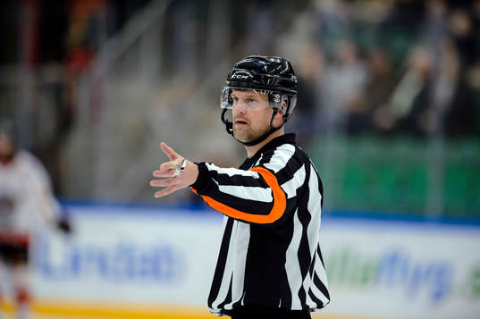 Domare Mikael Nord