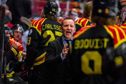 Brynäs tränare Thomas Berglund