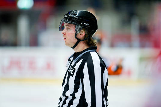 Domaren Daniel Persson